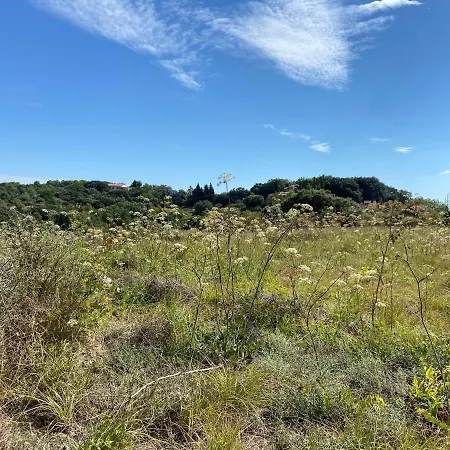 Кемпинг Domaine Des Sens - 20 Couchages Insolites Monteils (Gard)