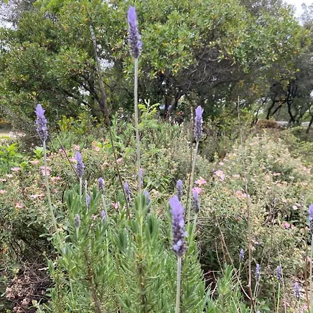 Domaine Des Sens - 20 Couchages Insolites Monteils (Gard)