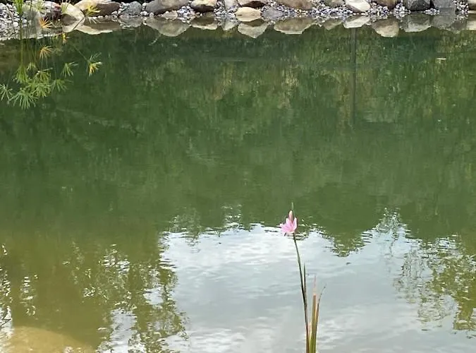 Кемпинг Domaine Des Sens - 20 Couchages Insolites