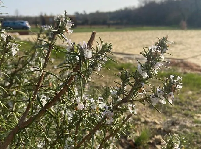 Domaine Des Sens - 20 Couchages Insolites *