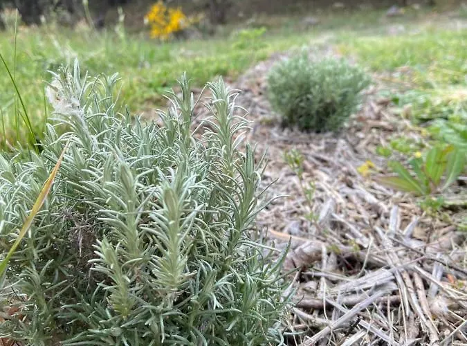 Domaine Des Sens - 20 Couchages Insolites * Monteils (Gard)