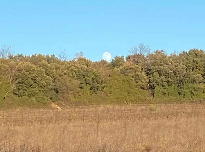 Domaine Des Sens - 20 Couchages Insolites