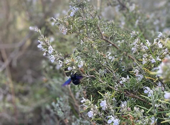 Domaine Des Sens - 20 Couchages Insolites *