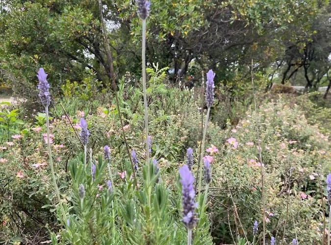 Domaine Des Sens - 20 Couchages Insolites Monteils (Gard)